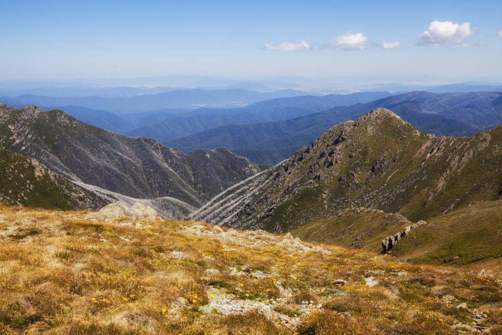 Mt Kosciuszko Walk and Transport with Snow Connect